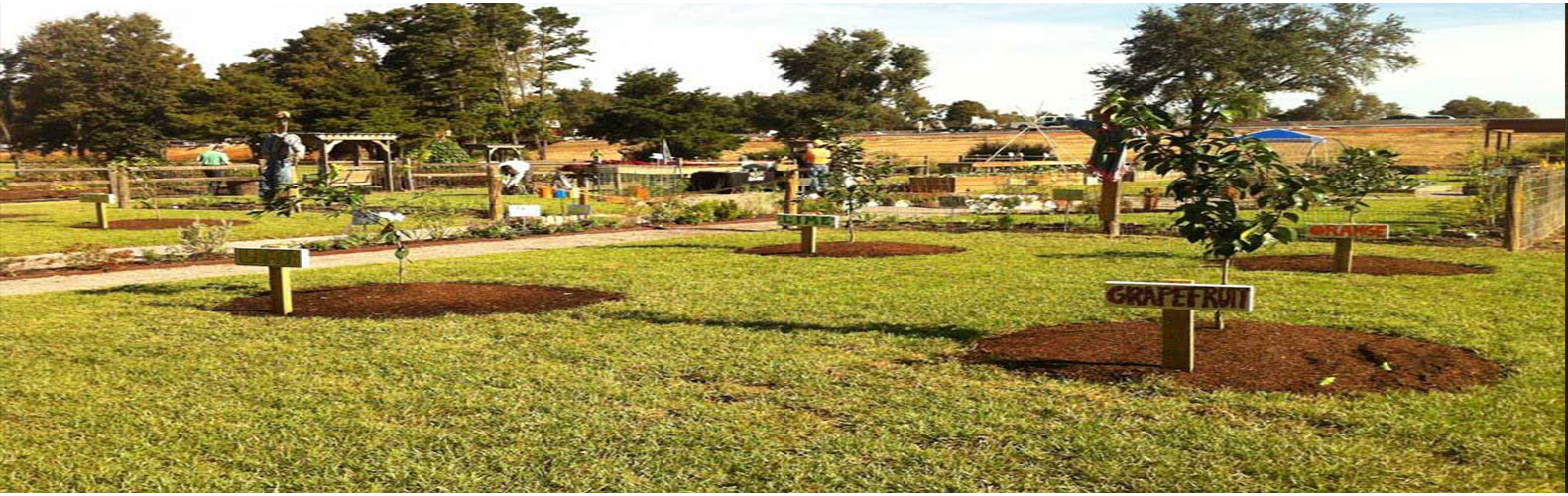 Model School Garden